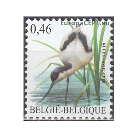 Belgium 2006. Birds