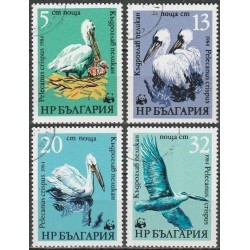 Bulgarija 1984. Garbanotasis pelikanas