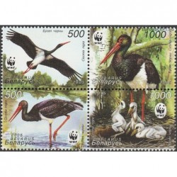 Belarus 2005. Black stork