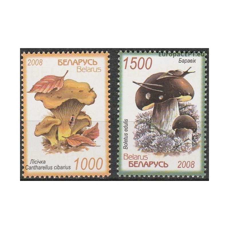 Belarus 2008. Mushrooms