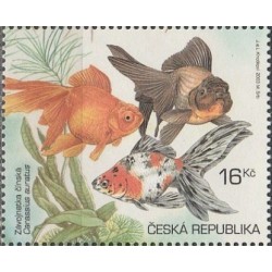 Čekija 2003. Žuvys