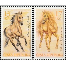 Czech Republic 2013. Horses