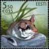 Estonia 2010. The Garden mouse