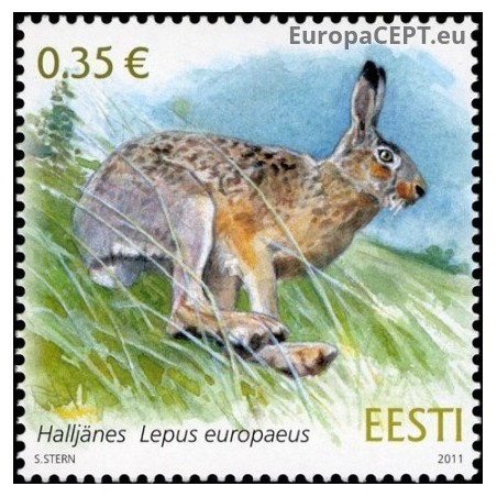 Estonia 2011. European Brown Hare