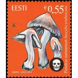 Estonia 2014. Mushrooms