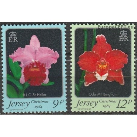 Džersis 1984. Orchidėjos