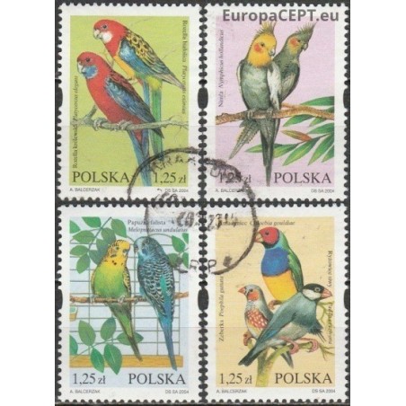Poland 2004. Parrots