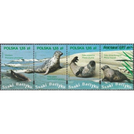 Poland 2009. Mammals of Baltic sea
