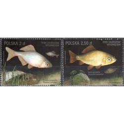 Poland 2016. Endangered fish species