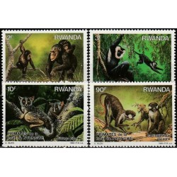 Ruanda 1988. Beždžionės