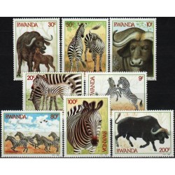 Rwanda 1984. Fauna,  mammals (zebras)