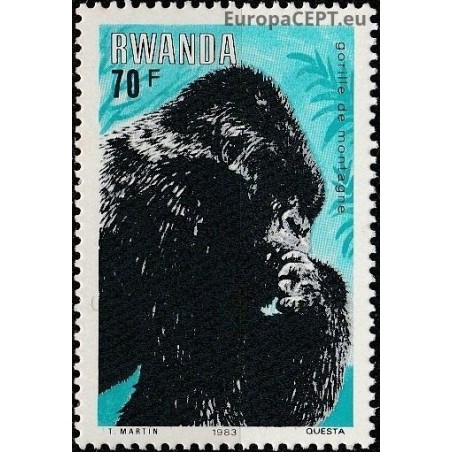 Rwanda 1983. Mountain gorilla