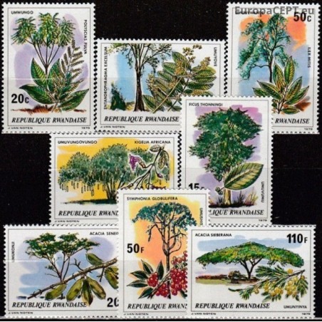 Rwanda 1979. Trees