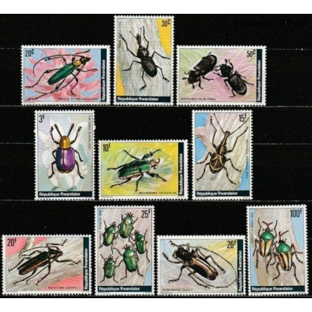Rwanda 1978. Insects