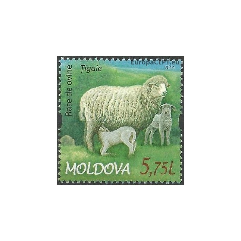 Moldova 2014. Avys