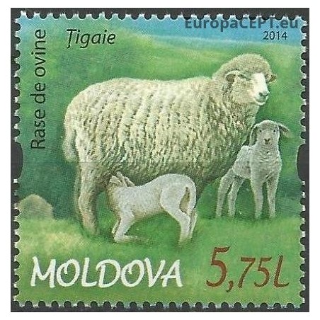 Moldova 2014. Avys