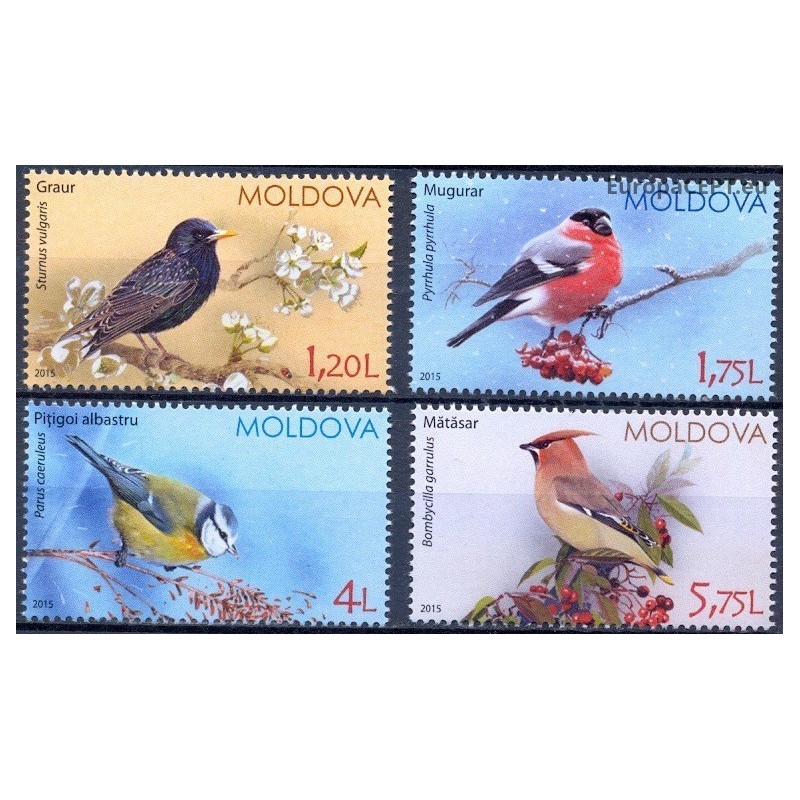 Moldova 2015. Birds
