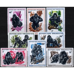 Rwanda 1970. Mountain gorillas