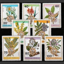 Rwanda 1969. Medicinal plants