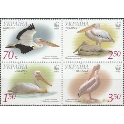 Ukraina 2007. Pelikanai