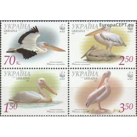 Ukraine 2007. Pelicans