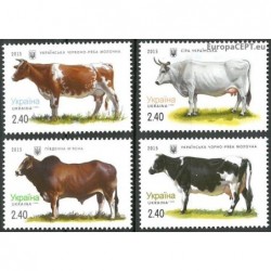 Ukraine 2015. Cows