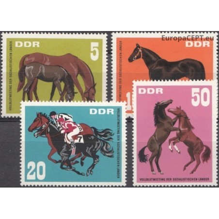 East Germany 1967. Horses