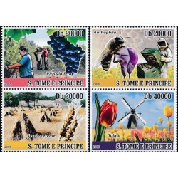 Sao Tome and Principe 2008. Agriculture