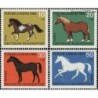 Germany 1969. Horses