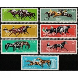 Hungary 1961. Horse riding