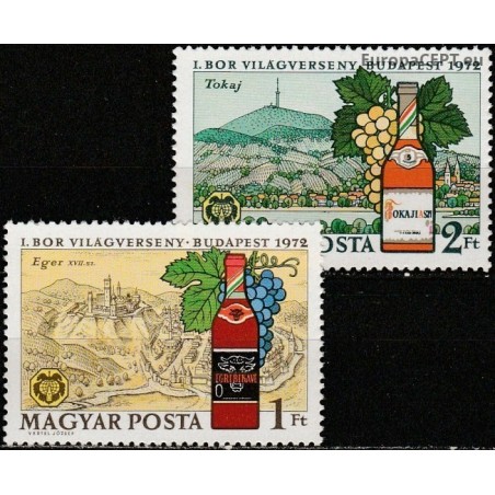 Hungary 1972. Winemaking