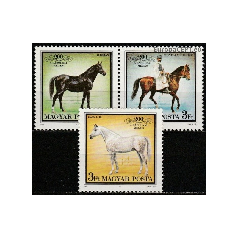 Hungary 1989. Horses