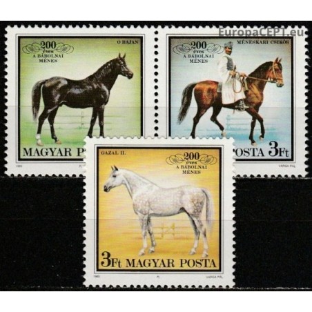 Hungary 1989. Horses
