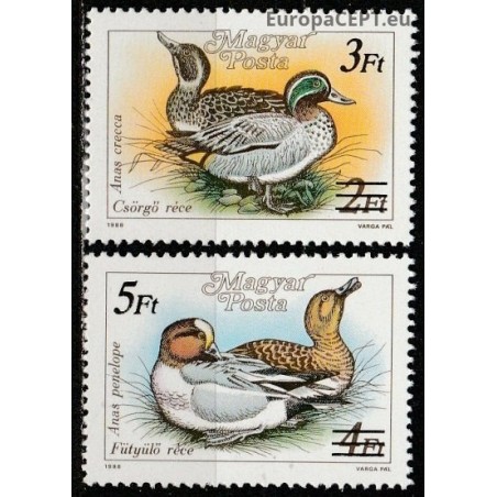 Hungary 1989. Wild ducks