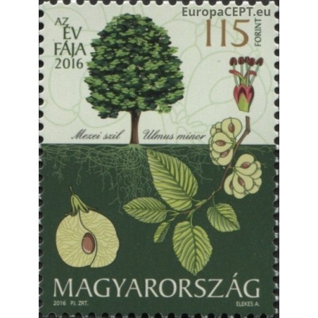 Vengrija 2016. Metų medis (paprastasis skirpstas)