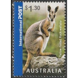 Australia 2007. Kangaroo