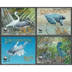 Penrhyn 2008. Pacific reef egret