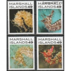 Marshall Islands 2014. Seahorses
