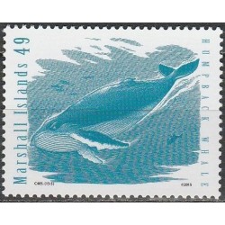 Marshall Islands 2015. Humpback whale