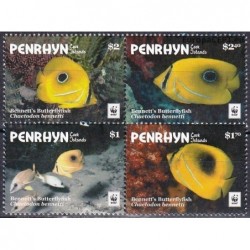 Penrhyn 2017. Bluelashed butterflyfish