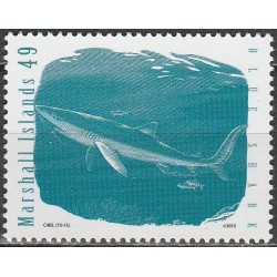 Maršalo salos 2015. Mėlynasis ryklys