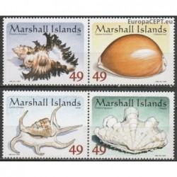 Maršalo salos 2015. Kriauklės