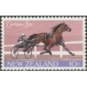 New Zealand 1970. Horse riding