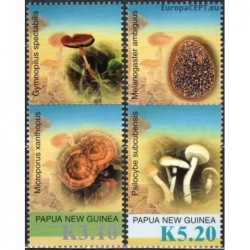 Papua Naujoji Gvinėja 2005....