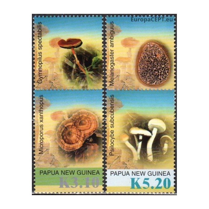 Papua New Guinea 2005. Mushrooms