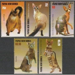 Papua New Guinea 2005. Domestic cats