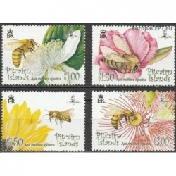 Pitcairn Islands 2008. Honey bees