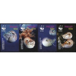 Palau 2006. Mollusca