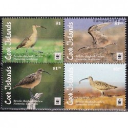 Cook Islands 2017. Birds (Brislte Thighed Curlew)