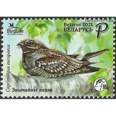 Belarus 2021. Bird of the Year (European Nightjar)